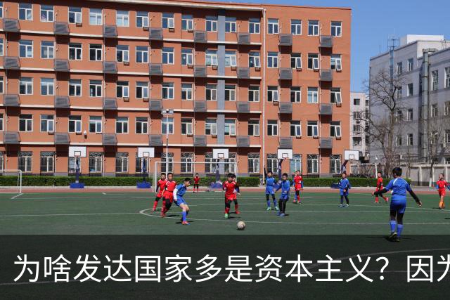 为啥发达国家多是资本主义？因为他们抢了钱再顺便搞了资本主义。