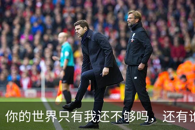 你的世界只有我还不够吗，还有谁呢？