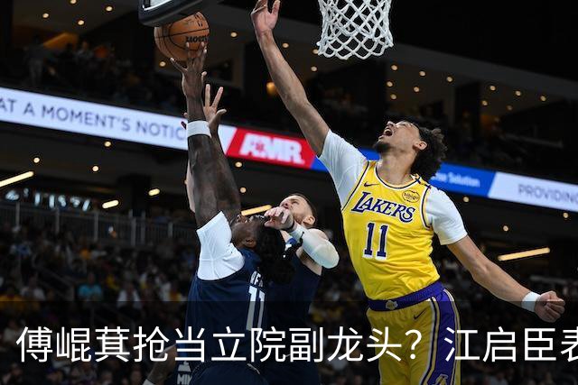 傅崐萁抢当立院副龙头？江启臣表态，赵少康又妄图干涉国民党决策