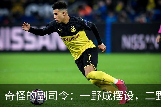 奇怪的副司令：一野成摆设，二野四野干脆没有，三野相当于司令