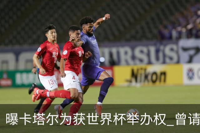 曝卡塔尔为获世界杯举办权 曾请前CIA特工监听FIFA