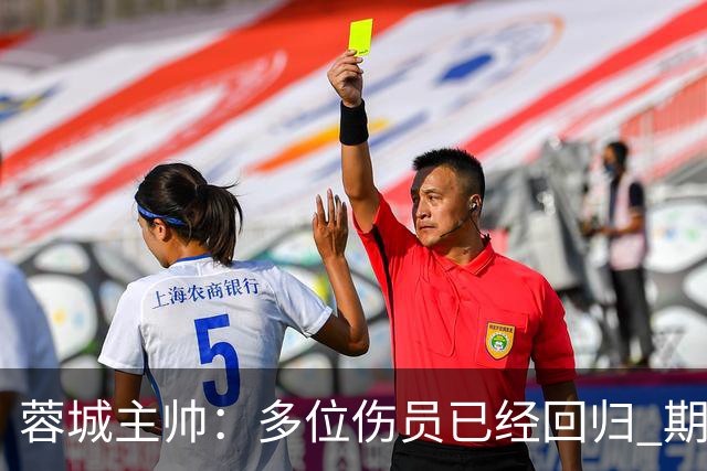 蓉城主帅：多位伤员已经回归 期待主场把这个冠军拿下