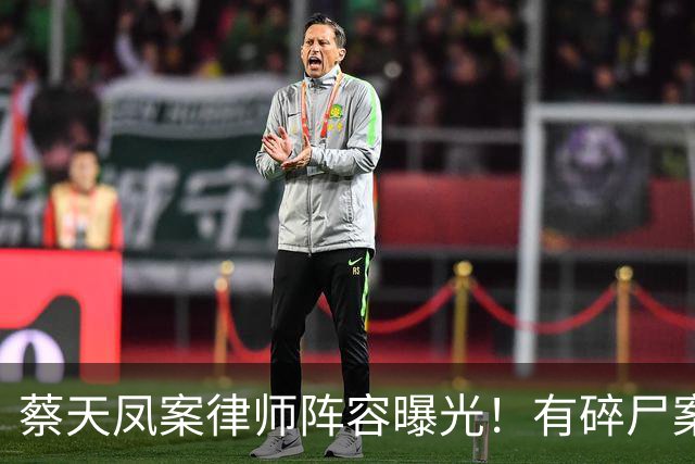 蔡天凤案律师阵容曝光！有碎尸案无罪辩护经验，曾参与60亿洗钱案