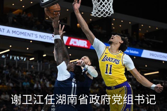 谢卫江任湖南省政府党组书记