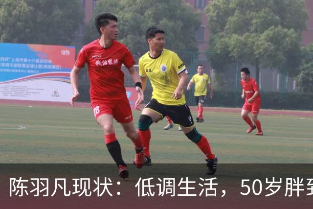 陈羽凡现状：低调生活，50岁胖到认不出，17岁儿子1米8长得像妈