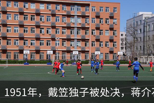 1951年，戴笠独子被处决，蒋介石两年后下令：他的子孙全接回台湾