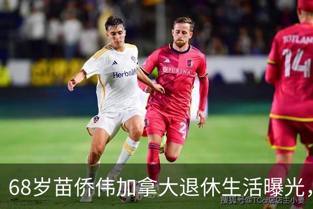 68岁苗侨伟加拿大退休生活曝光，遛狗赏花好惬意，两鬓花白仍健硕
